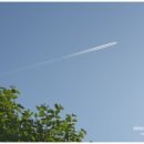 창공농장 이미지