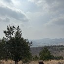 미옥농장 | 제주의 오름..⛰️ 그리고 조은 사람들🍊