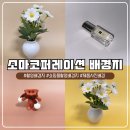 넉넉한 | 소마코퍼레이션 촬영배경지, 똥손 탈출하는 넉넉한 사이즈 양면 배경지 솔직후기