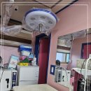 응암동물병원 이미지