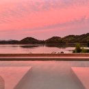 피치비치 이미지