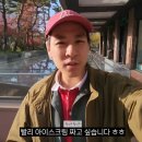아이스크림스토리광교 - 용인시 수지구 광교마을로 54 | 아이스크림스토리광교