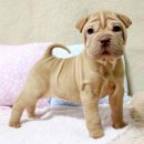 플러스컴퓨터학원 이미지