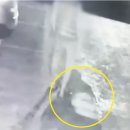 모텔승마 이미지