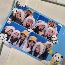 김화도서관 | 동물이 롤러코스터 타두 되나여? 내공100...🐼🐰🦝