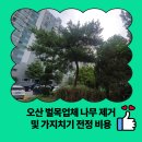 고덕 연결녹지 | 오산 벌목업체 나무 제거 및 가지치기 전정 비용