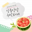 가정집밥요리 이미지