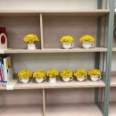 천년나무꿈작은도서관 이미지