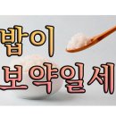 도마뱀식당 이미지