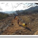 은서농장 이미지