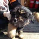 아띠아띠 이미지