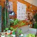 품안에 서해바다 이미지