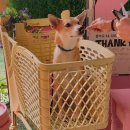 스키여행펜션 이미지