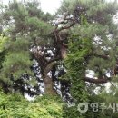 운곡보건진료소 이미지