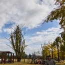 여주-1103 이미지