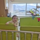 양산부산대학교병원 | 심실중격결손 양산부산대학교 병원 수술후기