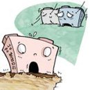 강남-219 이미지