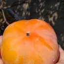 쇼후퉁 마라탕 이미지