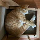 경창한의원 | [운동] 재활 필라테스 추천 (판교 이모션 필라테스)