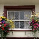 그대애개 이미지