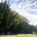 원학동공원 이미지