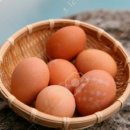 시골마당 티스토리