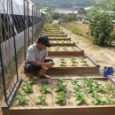 오방농장 이미지