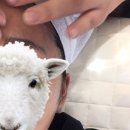 태의스킨