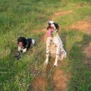 앞동산농장 이미지