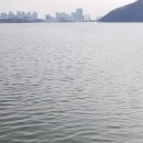 바람결에-해빙 이미지