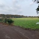 성읍리-2 이미지