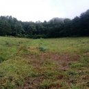 환원농장 이미지