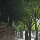 백육십오센티미터