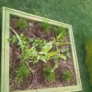 그린농장2 | 부산도시농업박람회 후기｜체험농장 운영자가 직접 본 텃밭체험·허브 아이디어