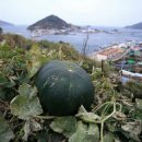 은빛바다민박 이미지