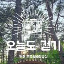 솔바람 | 원주 운곡솔바람숲길 걷기 후기✨