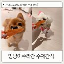 멍냥이수라간 | 멍냥이수라간 강아지 케이크 &amp; 촉촉치킨져키 후기 🐶 노견도 잘 먹는 수제간식