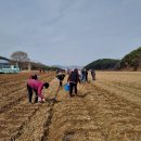 (주)꽃씨