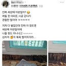 아파트 인테리어 하러갔다가 벌집 발견 이미지