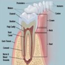 석영메디칼 이미지