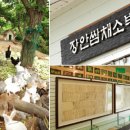 농사꾼농장 이미지