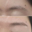 디자인제제
