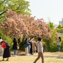 심심하신 분 보세요(보라매공원)~ 이미지