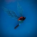 GR(칠곡군)-[금오동천로]-하-2 | 구to the미 패스나인 통대관, 그리고 백숙