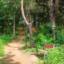 대창들공원 이미지