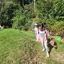 둘리 농장 | 우리들 자연학교 9월 2주 차 일요일 주말 숲학교 둘리샘반 수업 후기
