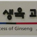 인삼박물관 이미지