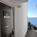 스테이다옴 이미지