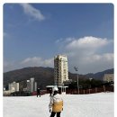 휘닉스파크 이미지