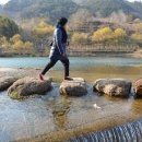 징검다리 이미지